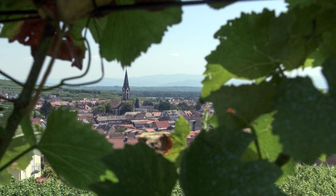 Ist geprägt von Wein und dessen Anbau: Ihringen am Kaiserstuhl.