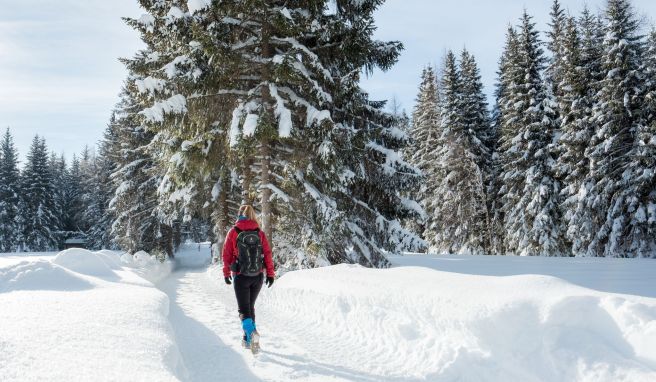 Auf dem Seefelder Hochplateau geht es für Wanderer auf fünf Etappen durch die verschneite Tiroler Landschaft.