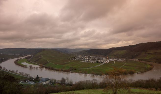 Schleusen-Unfall Mosel gesperrt: Was das für Flussreisen bedeutet