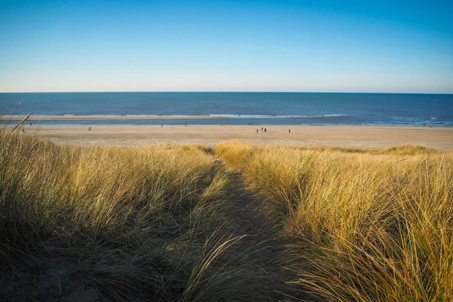 An der niederländischen Küste Günstiger Urlaub