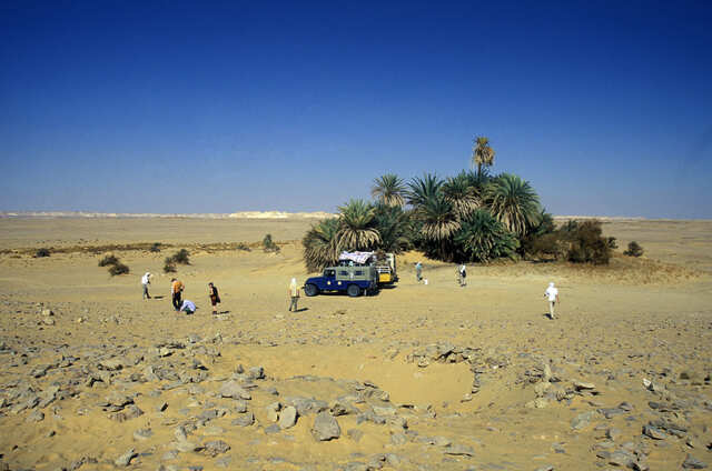 Eine kleine Oase bringt Leben in die karge Schönheit der Weißen Wüste. Depositphotos_94354752_XL