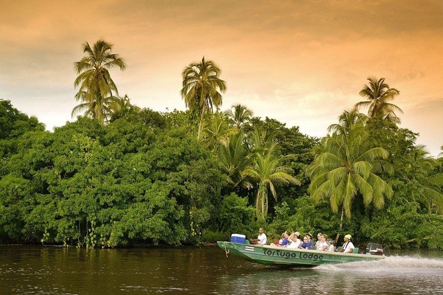 BILD-Beschreibung Tortuguero_ICT