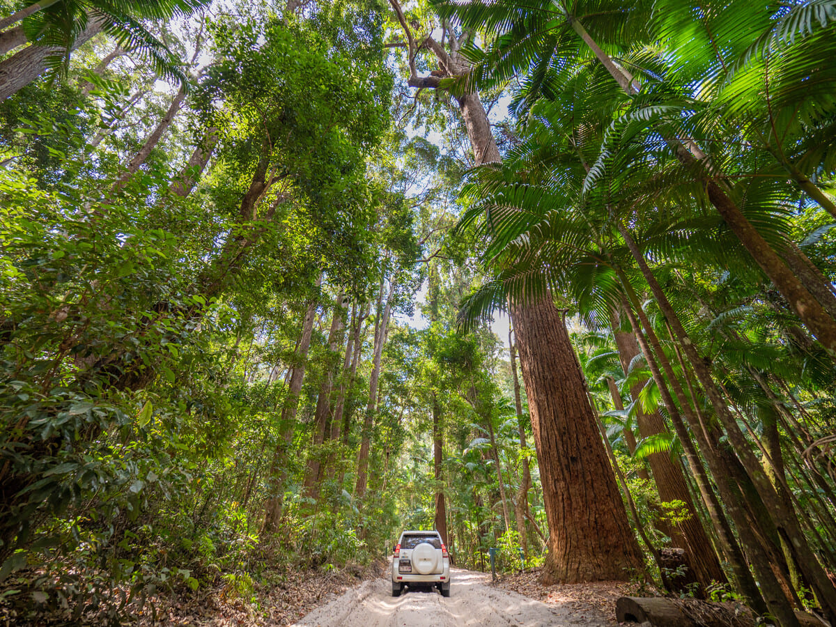 FC_Fraser Island - Pile Val-2019_