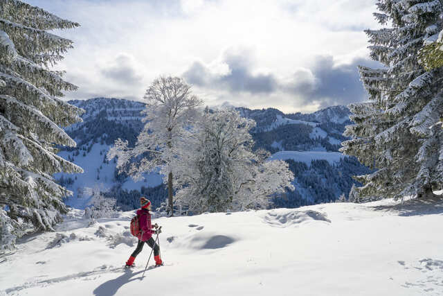 Wandern im Winter Die besten Strecken für verschneite Landschaften