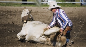 REISE & PREISE weitere Infos zu Cowboys und Surfer: Auf Reisen zu echten Kerlen 