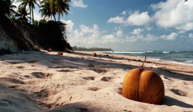 Praia do Forte in Brasilien soll so schön bleiben wie es ist und so dürfen beispielsweise Hotels nicht höher sein als die Palmen.