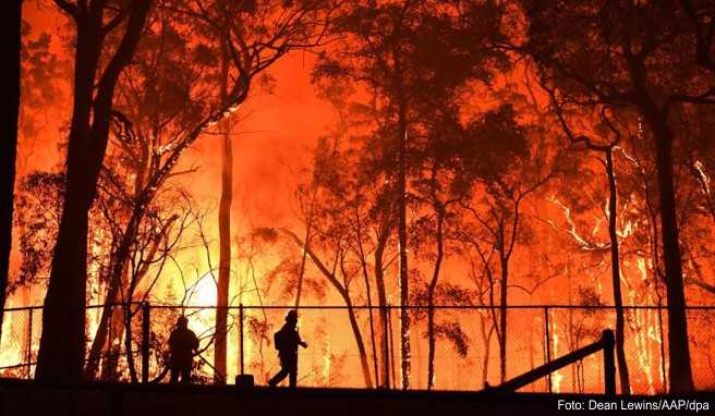 Verheerende Brände Ein Ort kämpft gegen die Buschfeuer in Australien