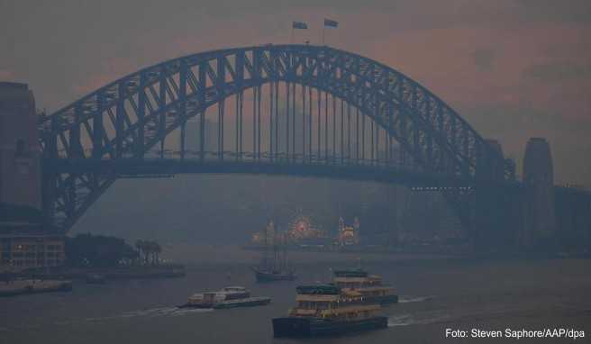 Australien-Reise Sydney in dichtem Rauch - Buschbrände wüten weiter