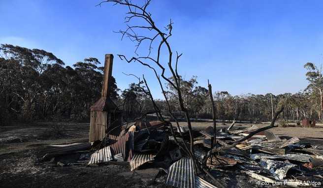 Australien-Reise Notstand - Verheerende Buschfeuer bedrohen Sydney